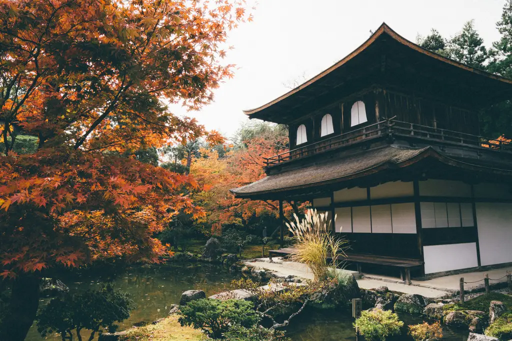 北海道：台灣人不可錯過的夢幻旅遊天堂