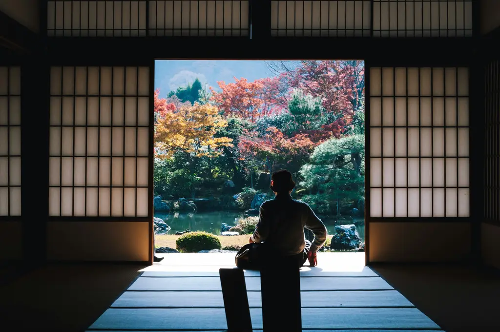 北海道冬季旅遊指南：台灣人的必訪清單