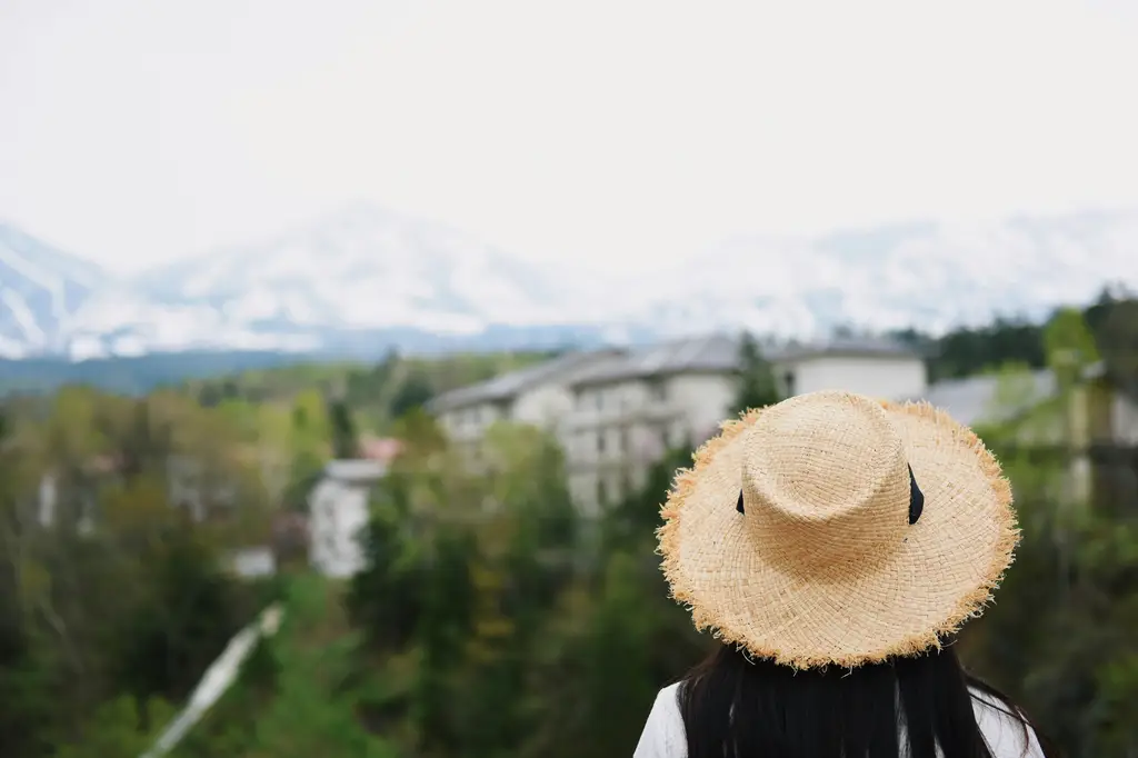 北海道的冬季奇幻之旅