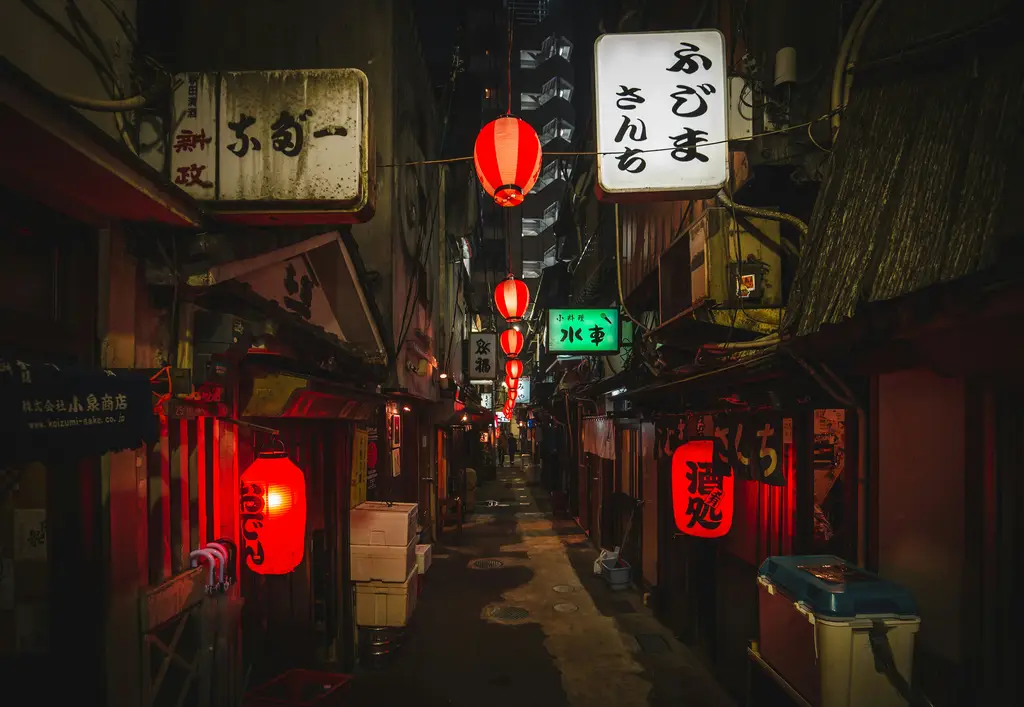 北海道必遊名勝之旅：從函館到富良野，盡覽北海道之美