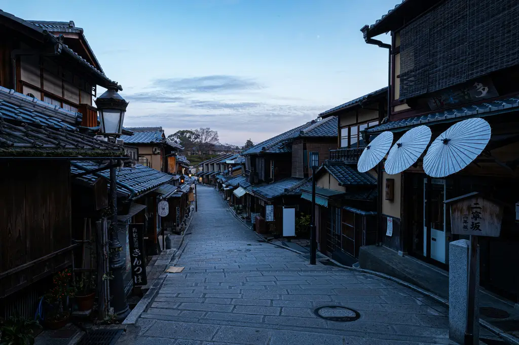 北海道櫻花盛開時分，醉美粉雪世界