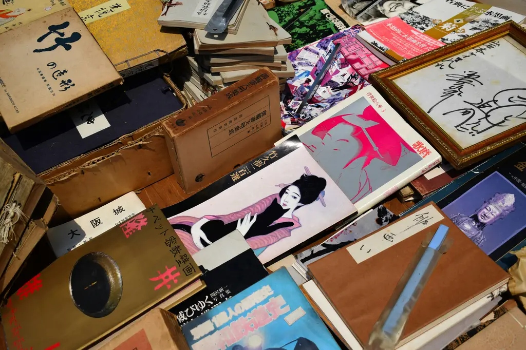 北海道流冰船：感受北國夢幻巨獸的冰封奇景