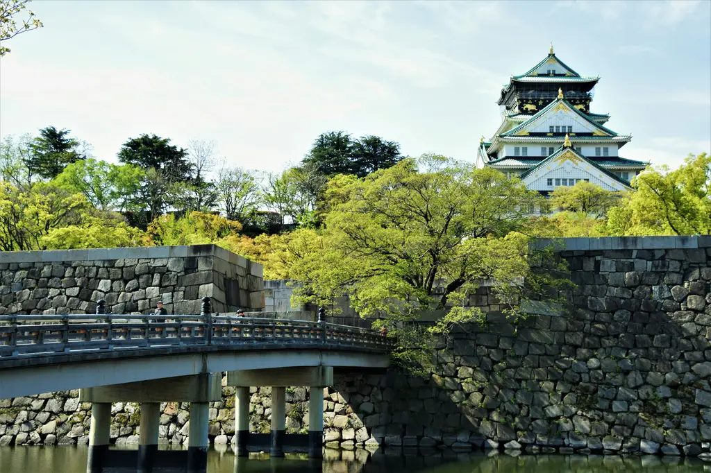 六月的北海道：絕美花海與壯闊景致的季節交響曲
