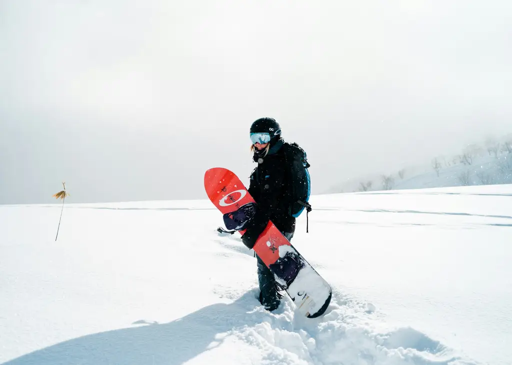 北海道自駕遊：規劃你的夢幻旅程
