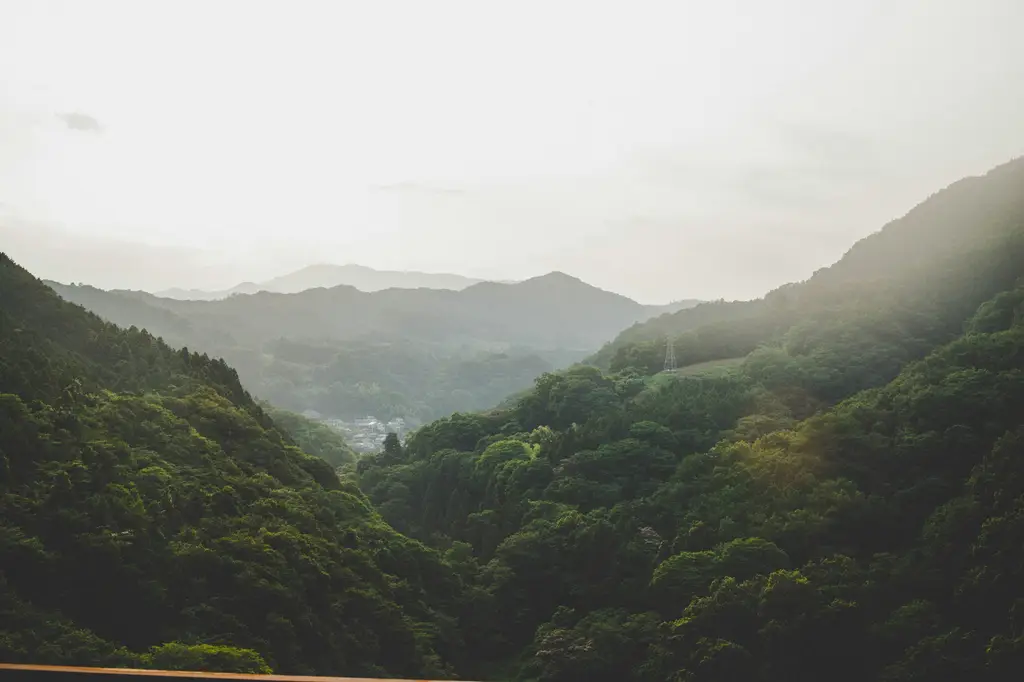 北海道必遊景點大蒐羅：令人驚嘆的自然奇景和文化體驗