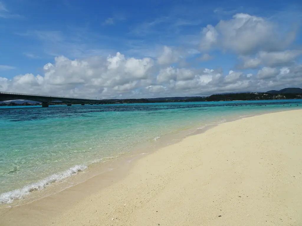 北海道自駕樂無窮：漫遊北海道的秘訣