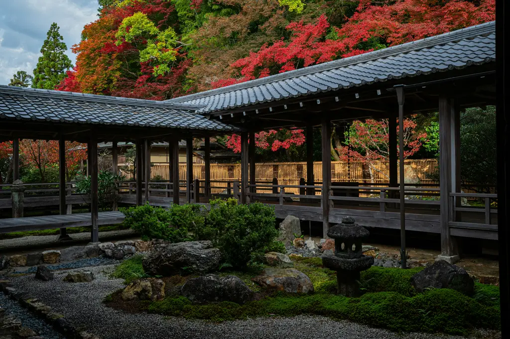 北海道花季指南：跟著花朵綻放，開啟北海道之旅