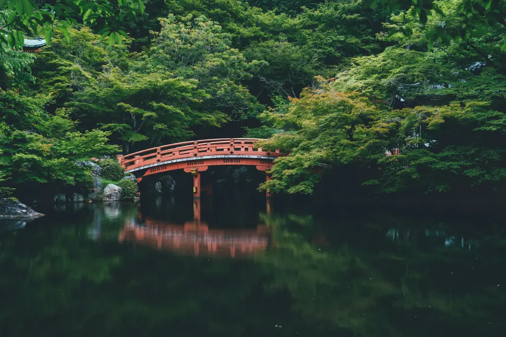 北海道之旅：打造難忘的日本冬季冒險，行程推薦全攻略