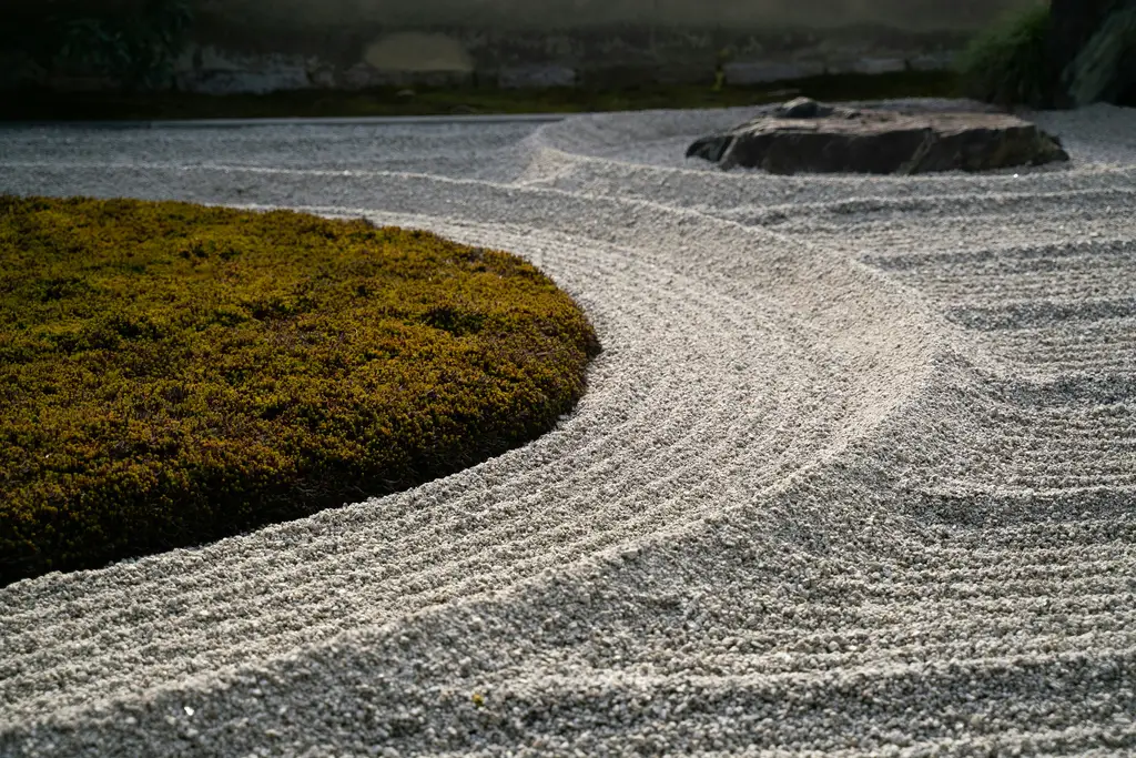 北海道雪景：冬雪仙境之美