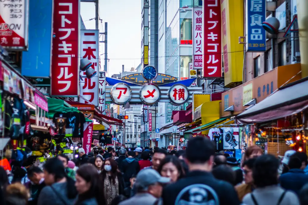 小樽到函館之旅：北海道絕美鐵道勝景