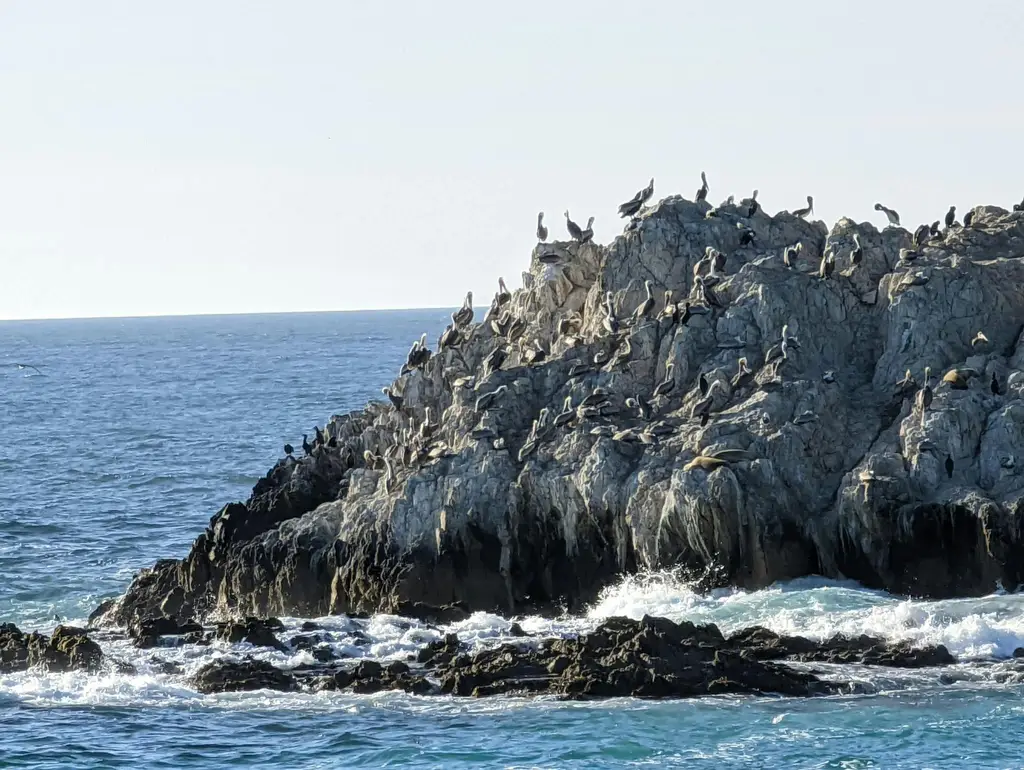 北海道玩樂指南：北海道必遊景點、絕美秘境大公開！
