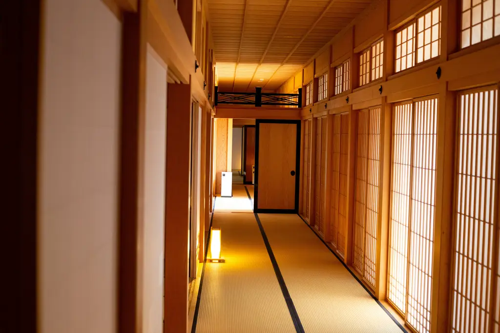 富良野：北海道的絕美花海天堂