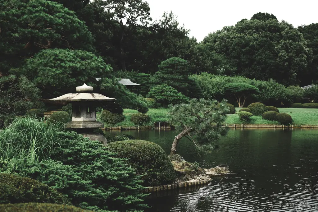 五月北海道：絕美花海與自然奇景之旅